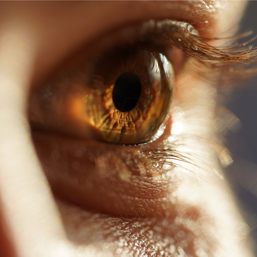 Close-up of an eye with detailed brown and amber-colored iris, long eyelashes, and skin texture visible.